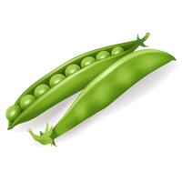 Pea PNG