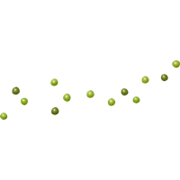 Pea PNG