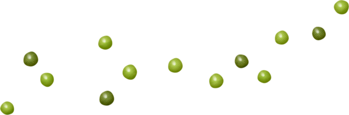 Pea Transparent PNG Image