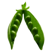 Pea PNG