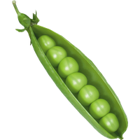 Pea PNG