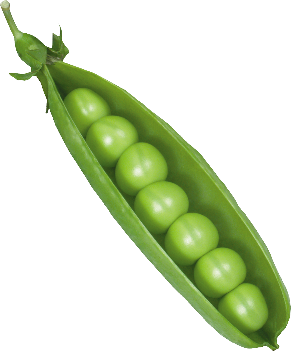 Pea Transparent PNG Image
