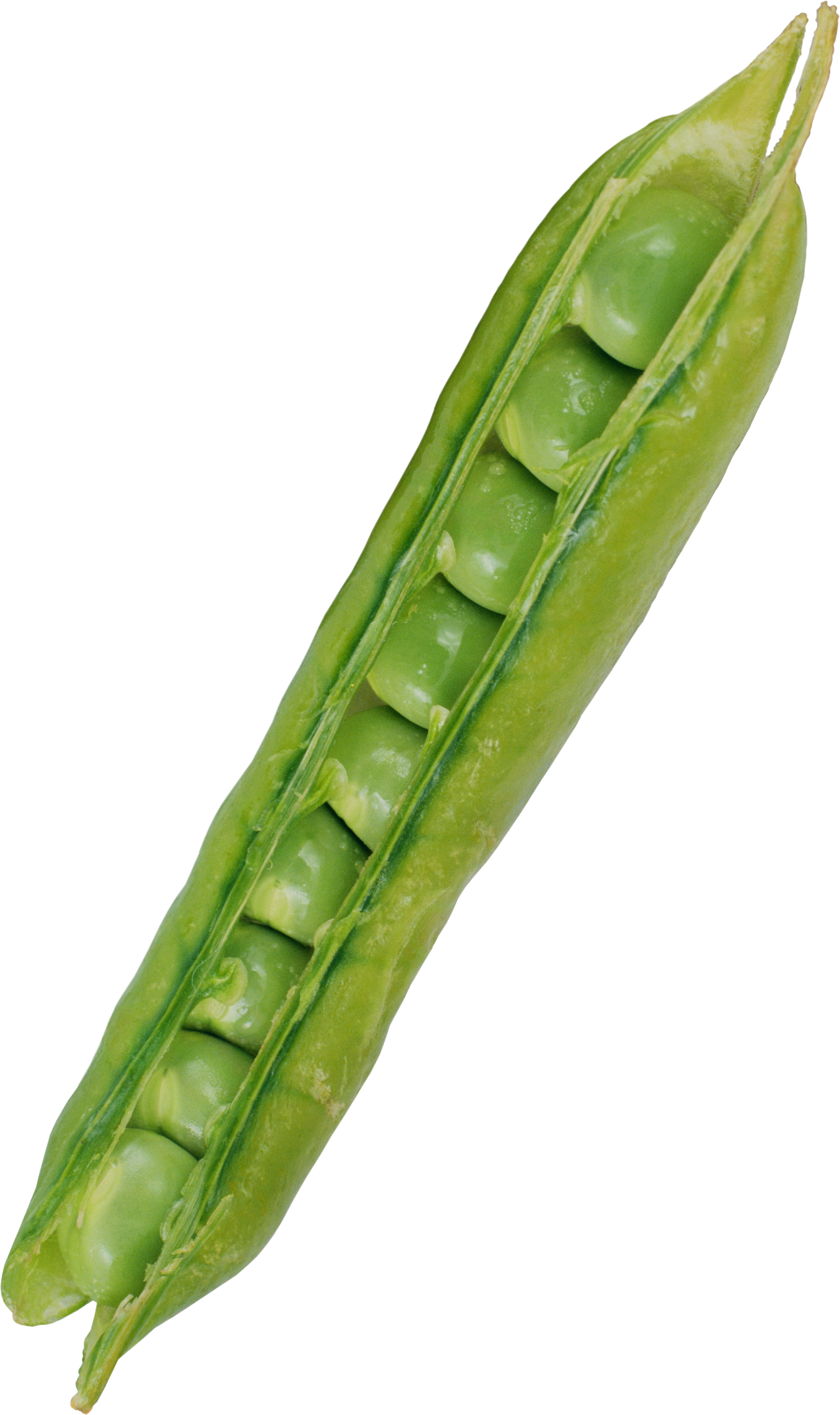 Pea Transparent PNG Image