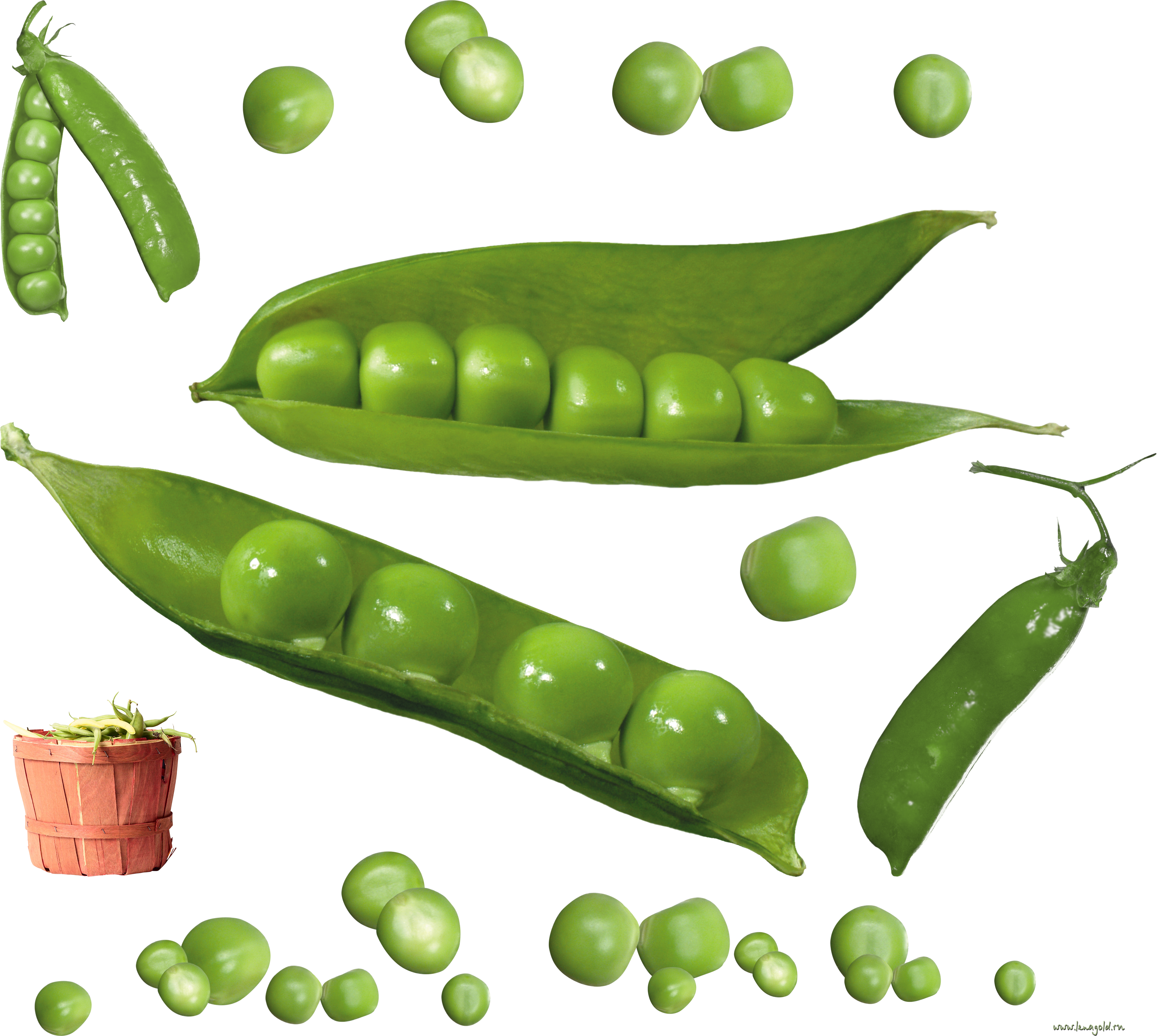 Pea Transparent PNG Image