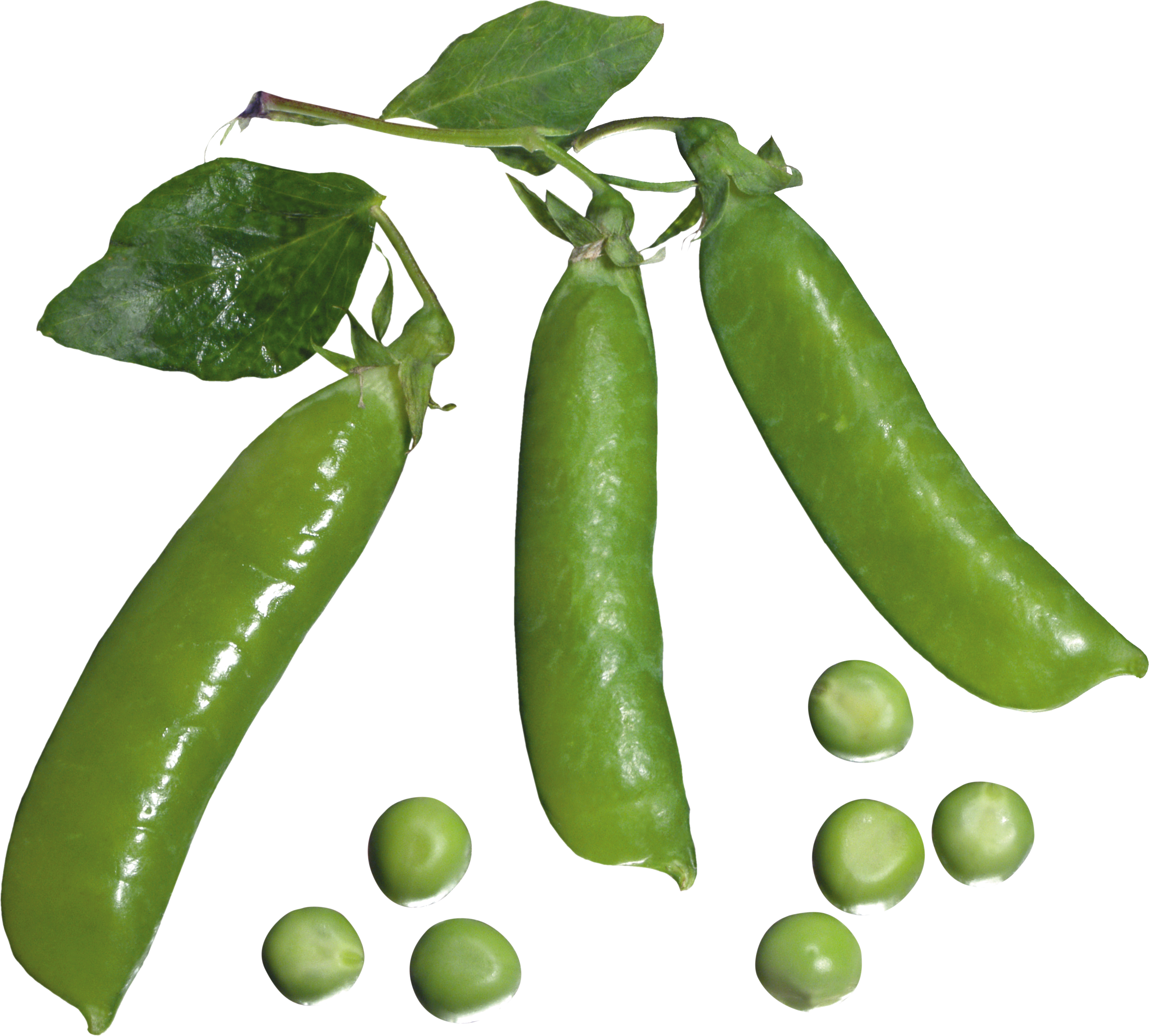 Pea Transparent PNG Image
