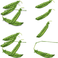 Pea PNG