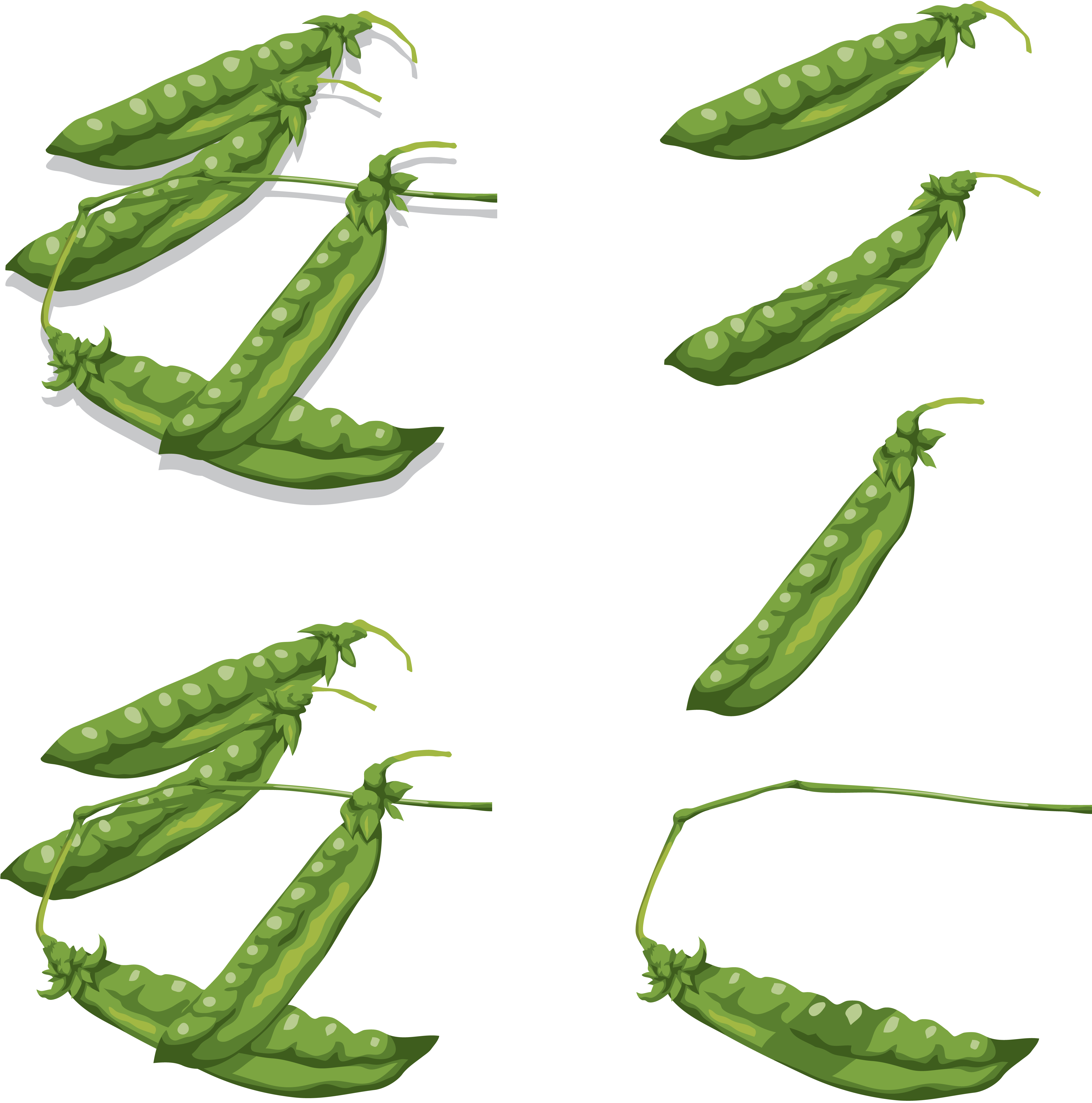 Pea Transparent PNG Image