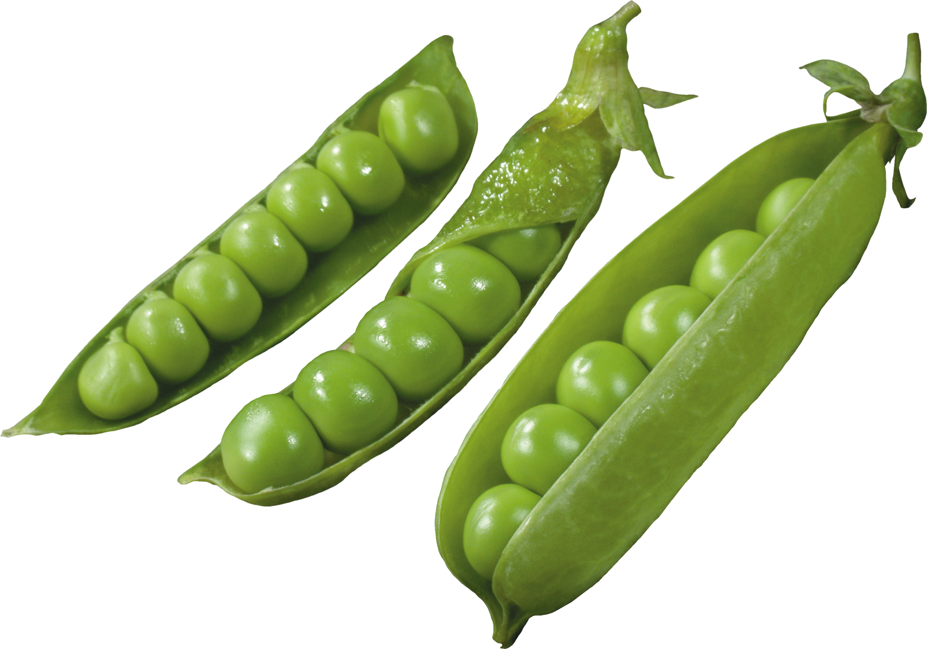 Pea Transparent PNG Image