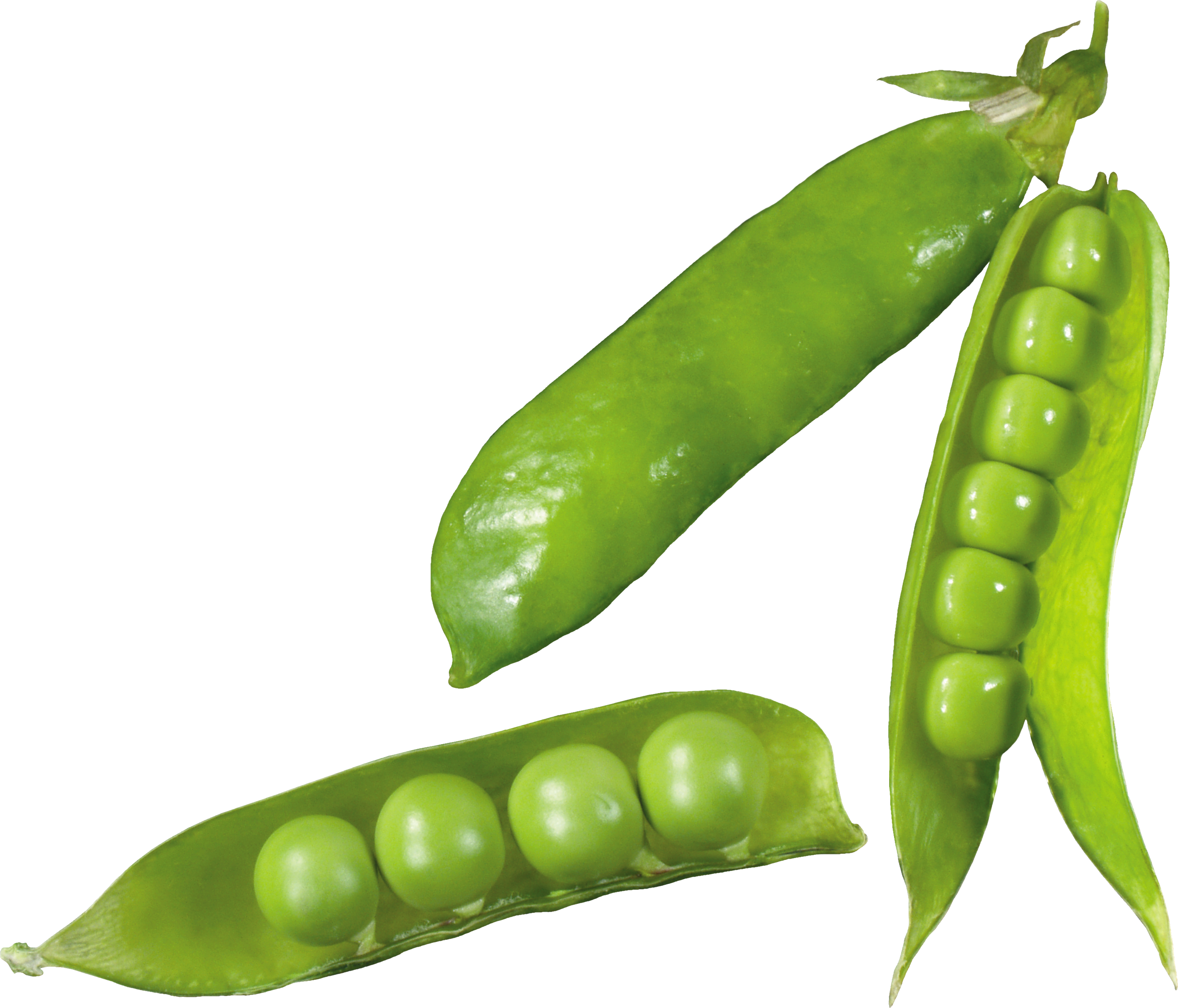 Pea Transparent PNG Image