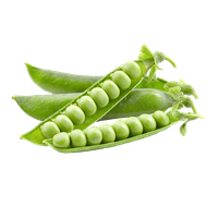 Pea PNG