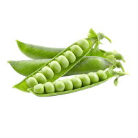 Pea PNG