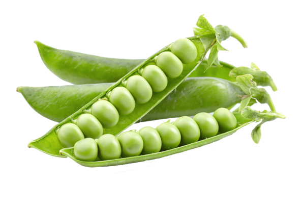 Pea Transparent PNG Image
