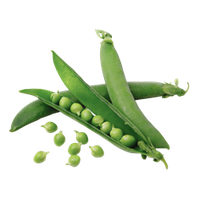 Pea PNG