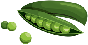 Pea Transparent PNG Image