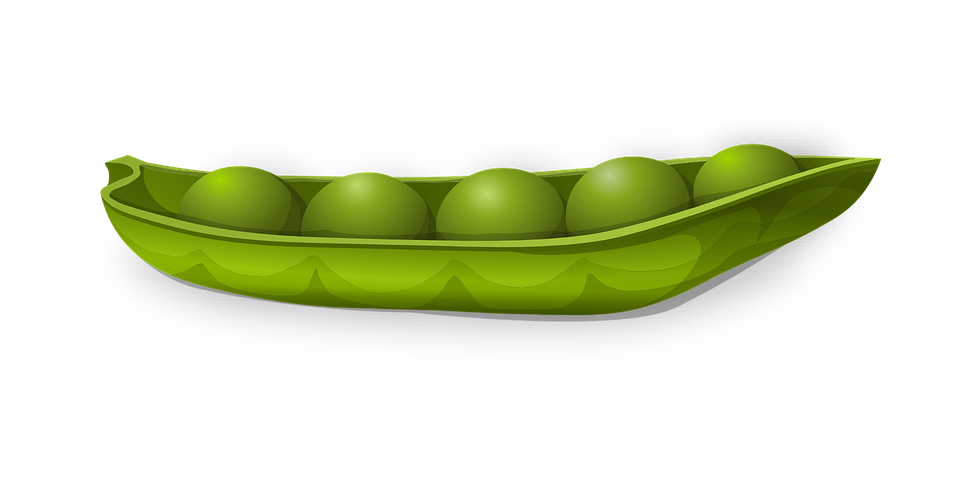 Pea Transparent PNG Image