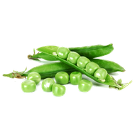 Pea Transparent PNG Image