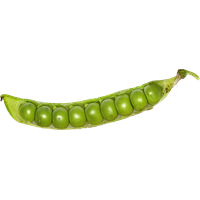 Pea PNG