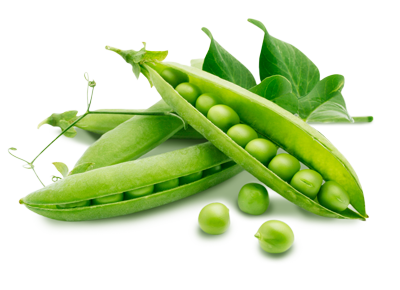 Pea Transparent PNG Image