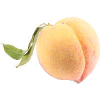 Peach Png Image PNG
