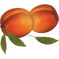 Peach Png Image PNG