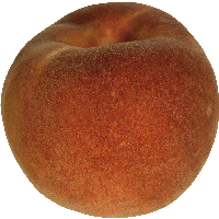Peach Png Image PNG