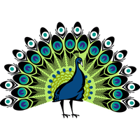 Peacock Transparent PNG Image