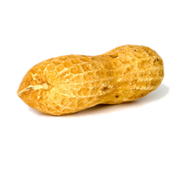 Peanut Picture Transparent PNG Image
