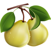 Pear Picture PNG