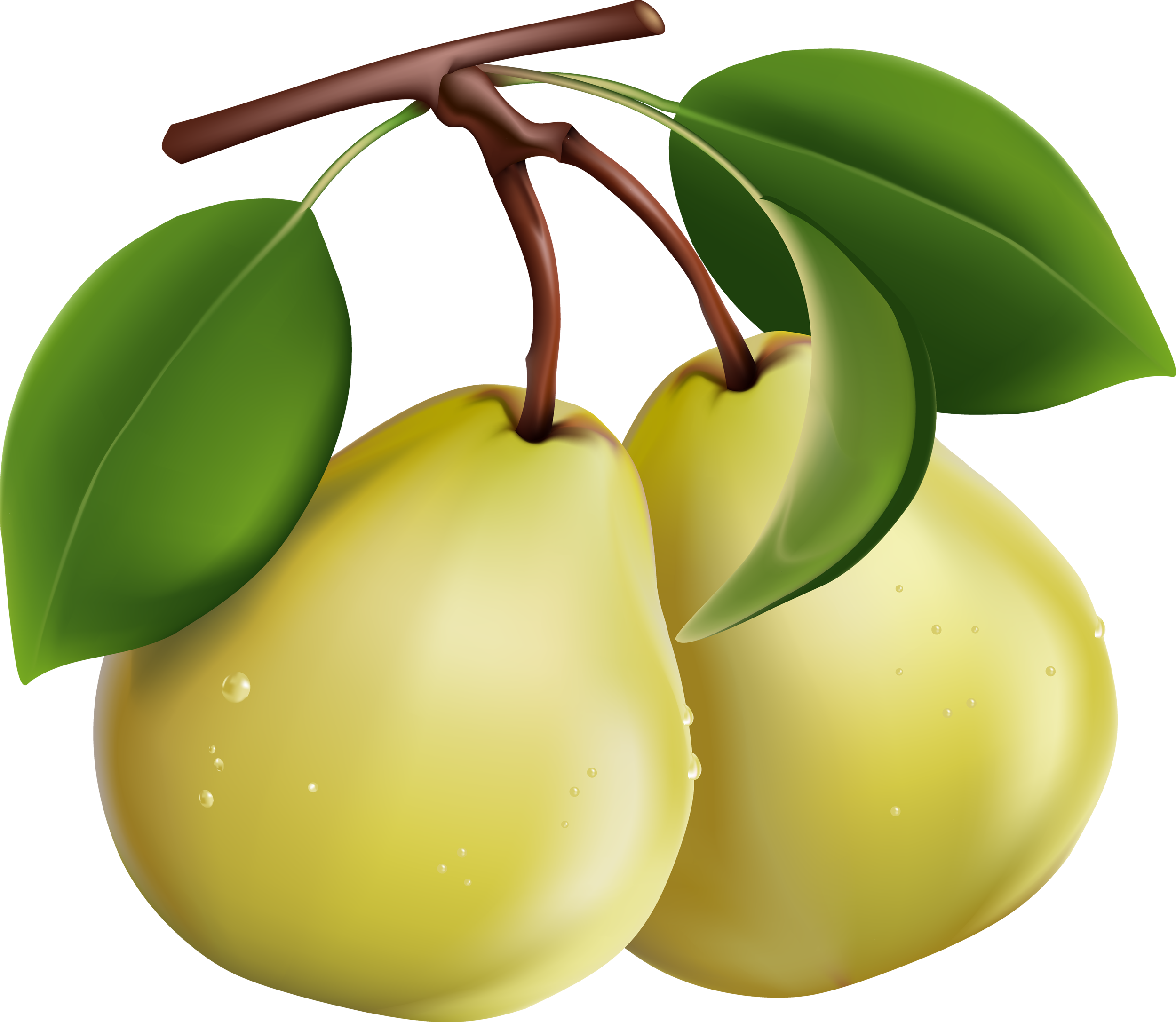 Download Pear Picture HQ PNG Image | FreePNGImg