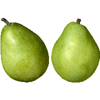 Green Pears Png Image PNG Image