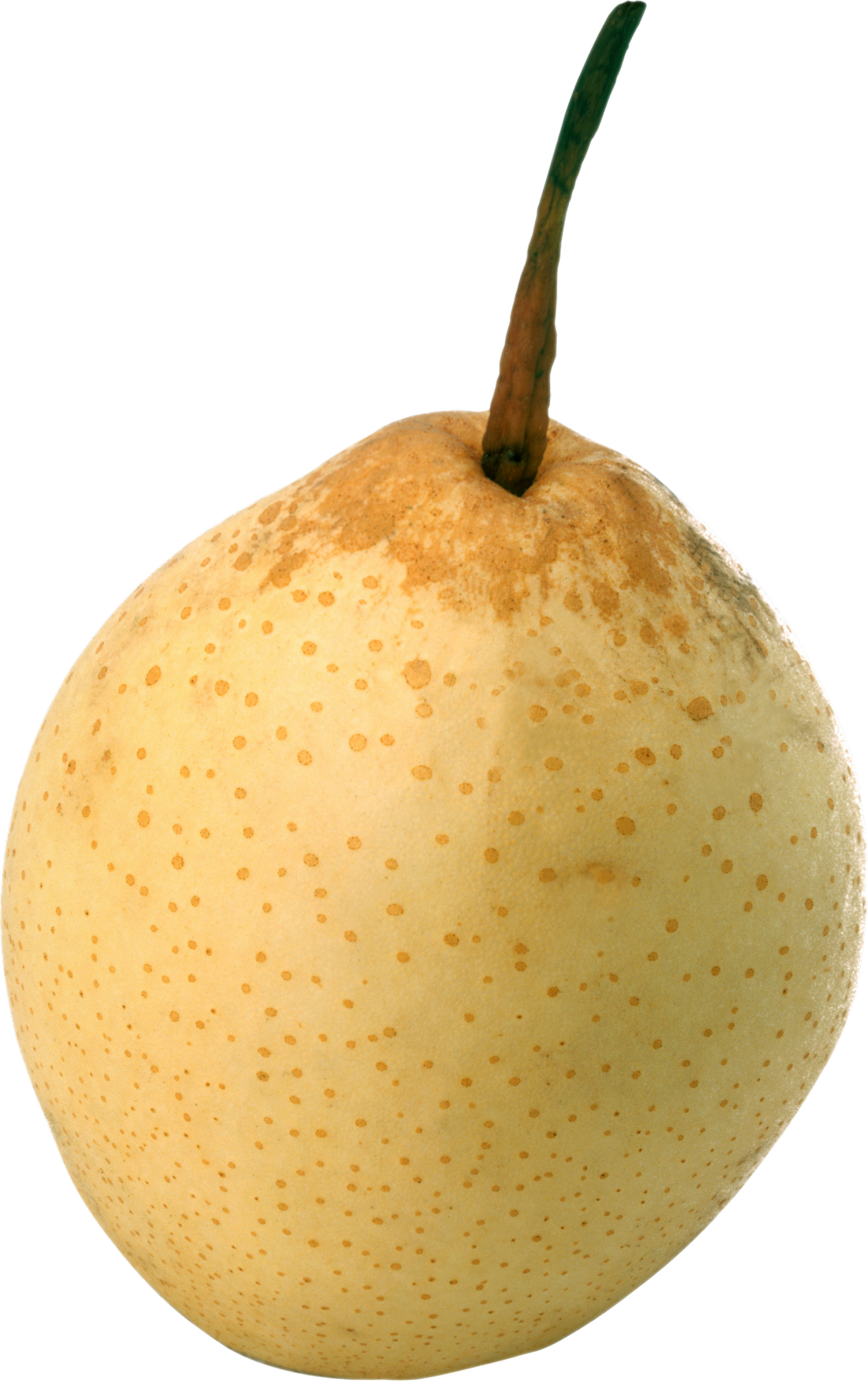 Pear Asian Free Download Image PNG Image