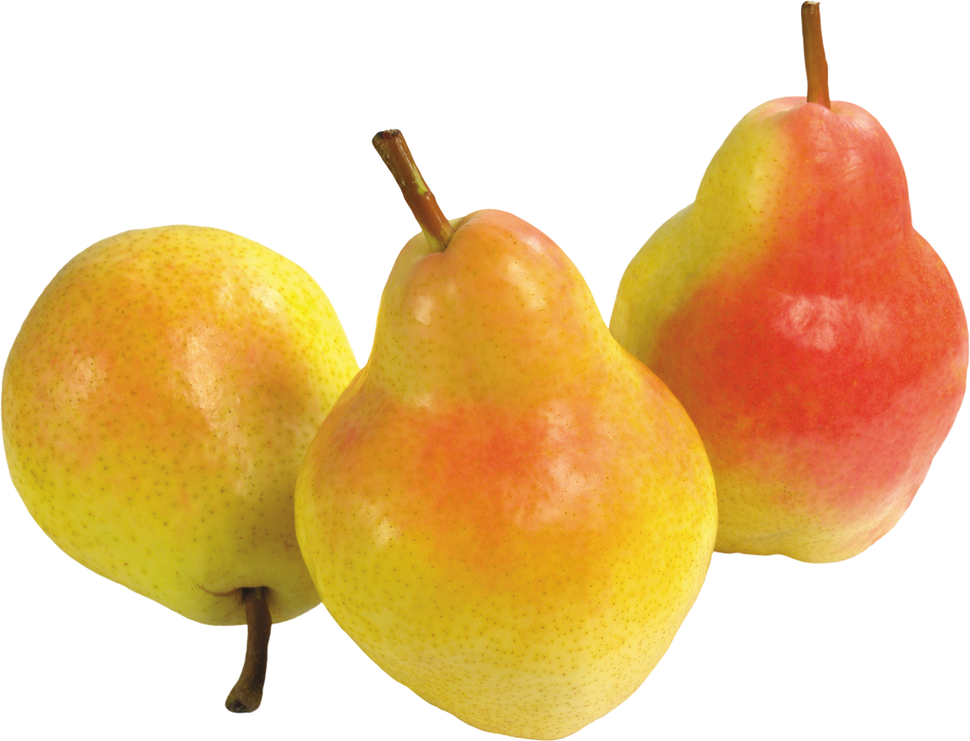 Pear Asian Free Transparent Image HQ PNG Image