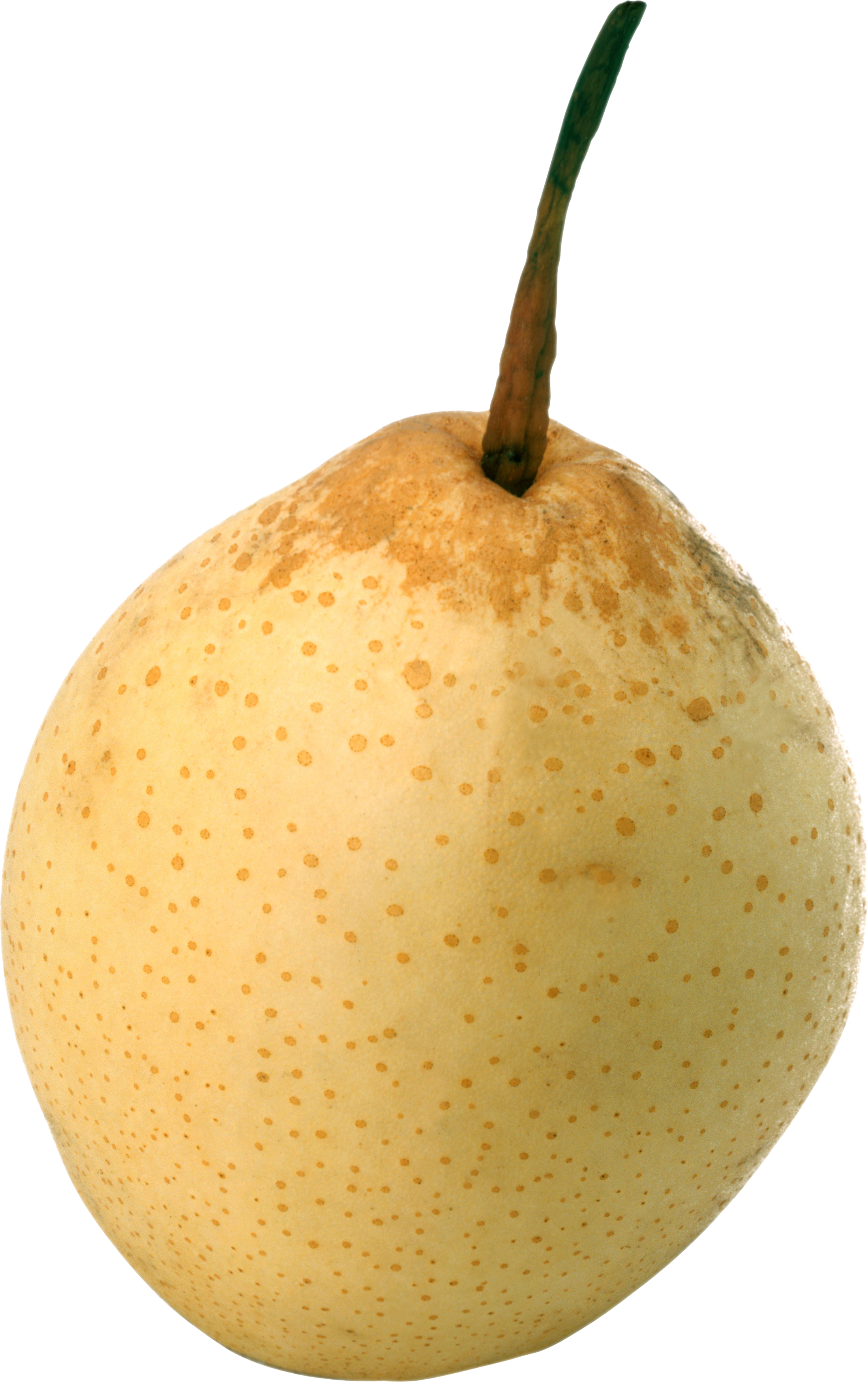 Pear Asian PNG File HD PNG Image