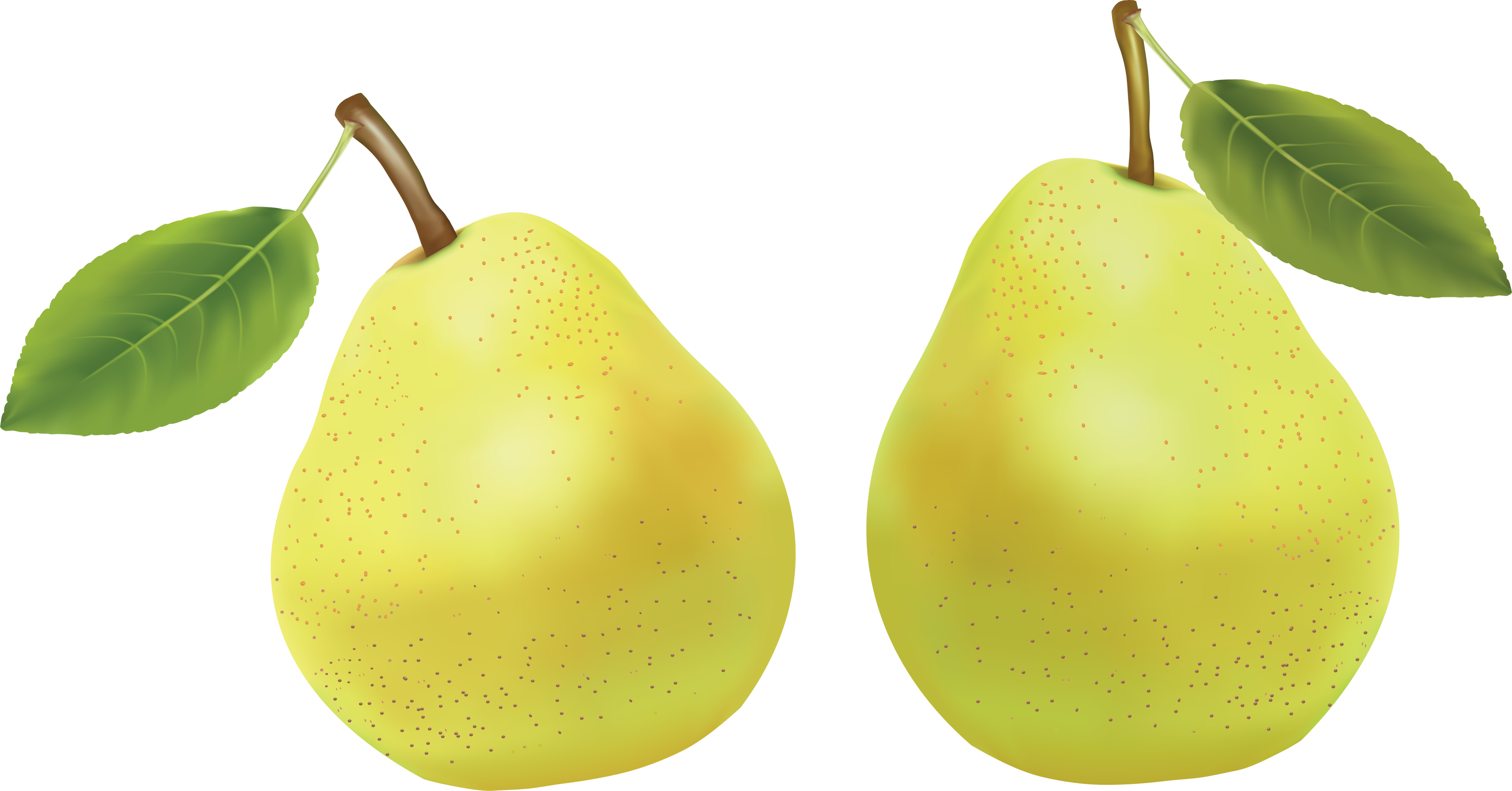 Pear Asian Free PNG HQ PNG Image