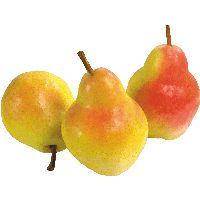 Pear Png Image