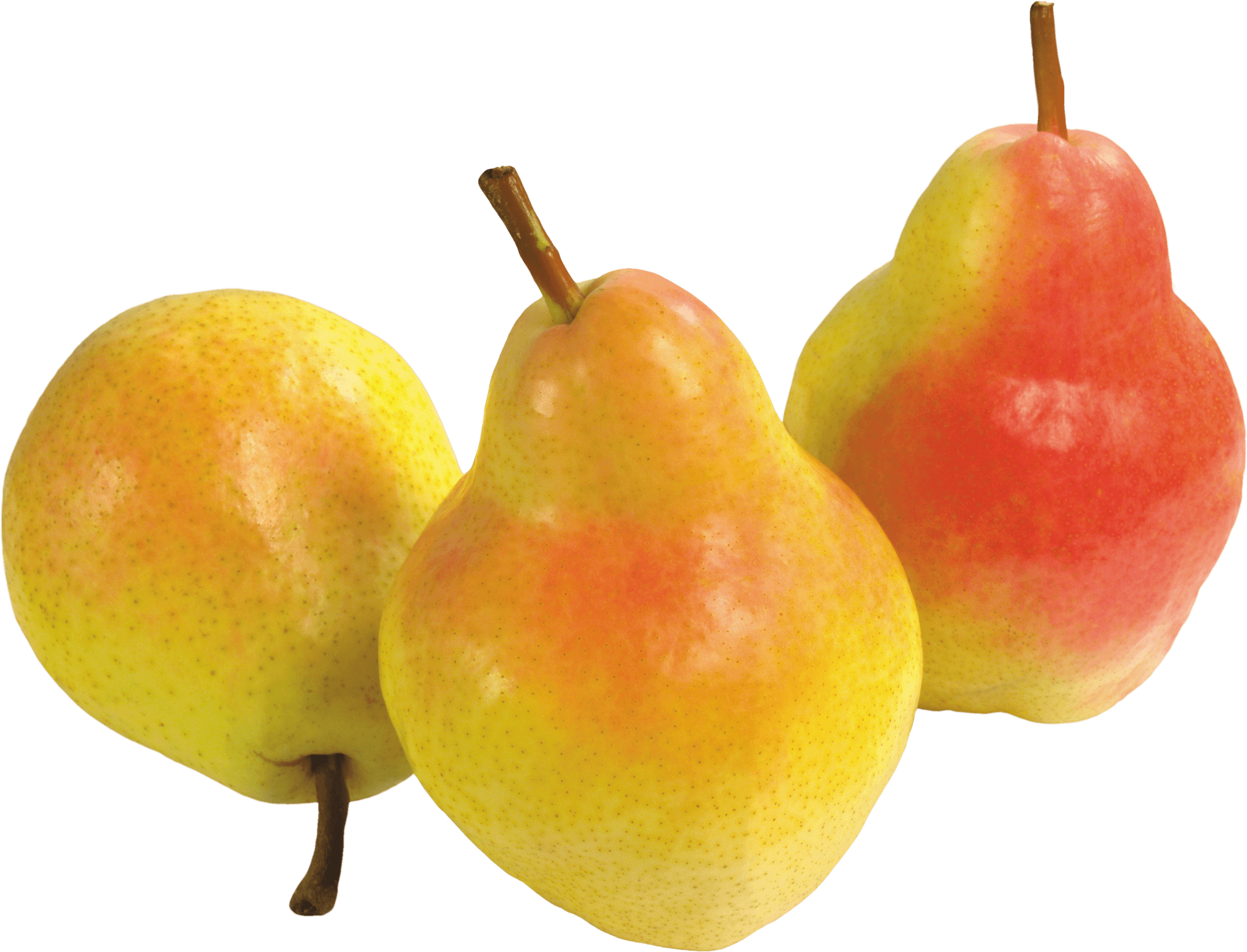 Download Pear Png Image HQ PNG Image | FreePNGImg