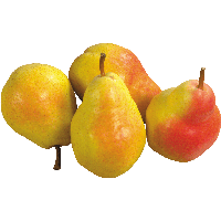 Pear Png Image PNG Image