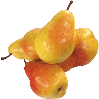 Pear Png Image