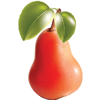 Pear Png Image