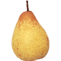 Pear Png Image