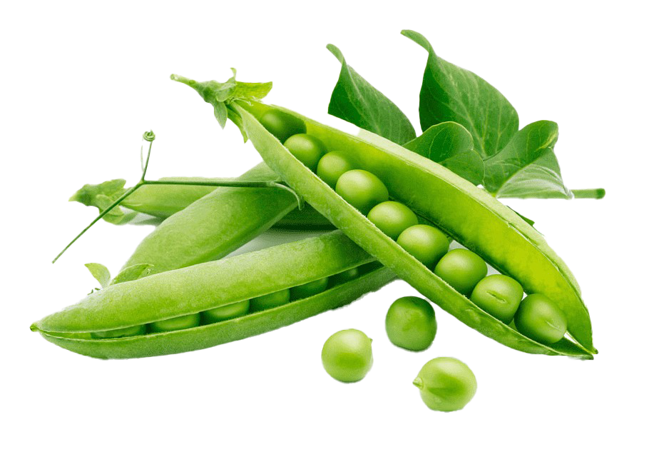Beans Green Peas Download Free Image PNG Image