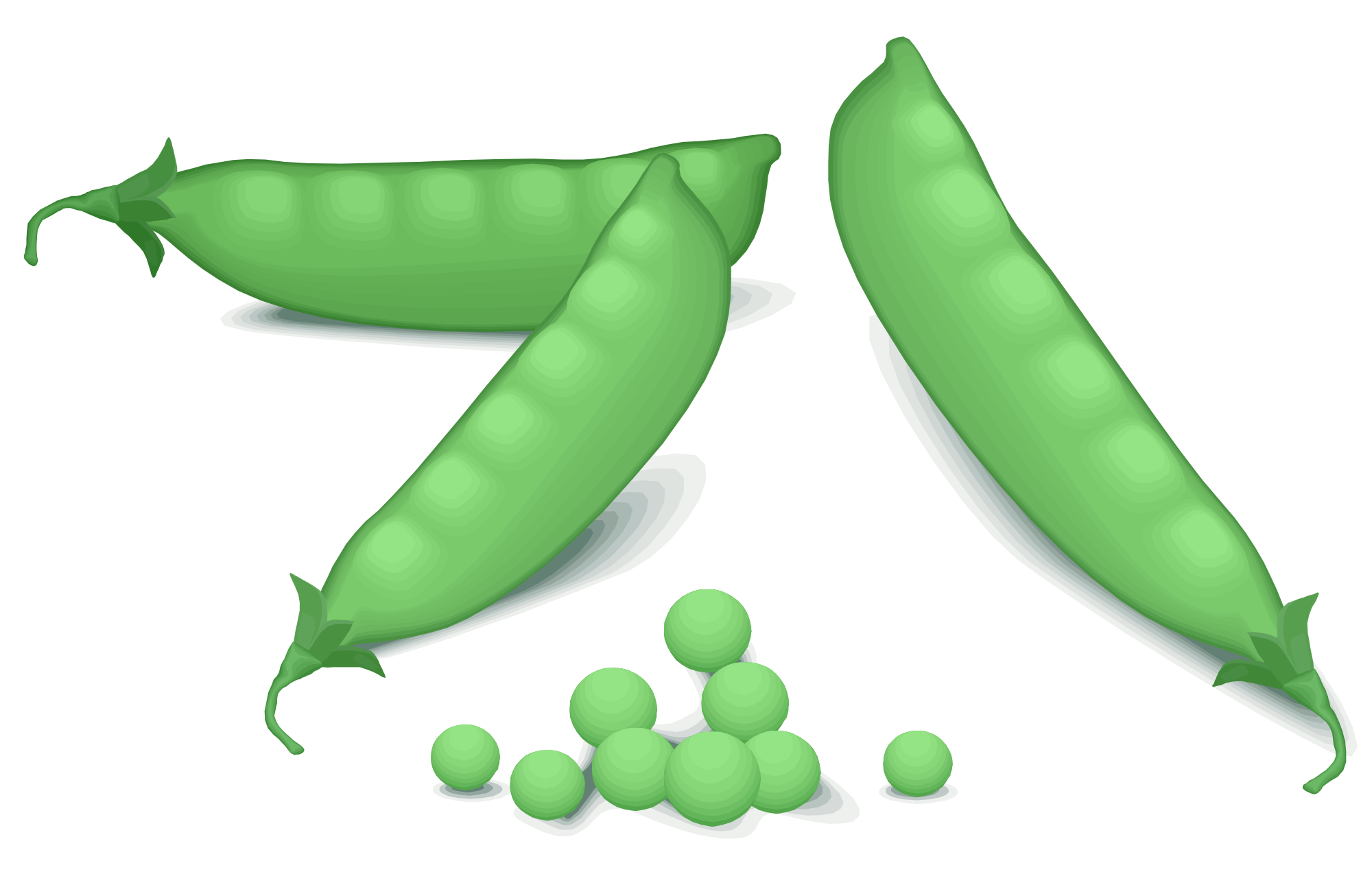 Green Pea Free Clipart HD PNG Image