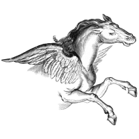 Pegasus Transparent PNG Image