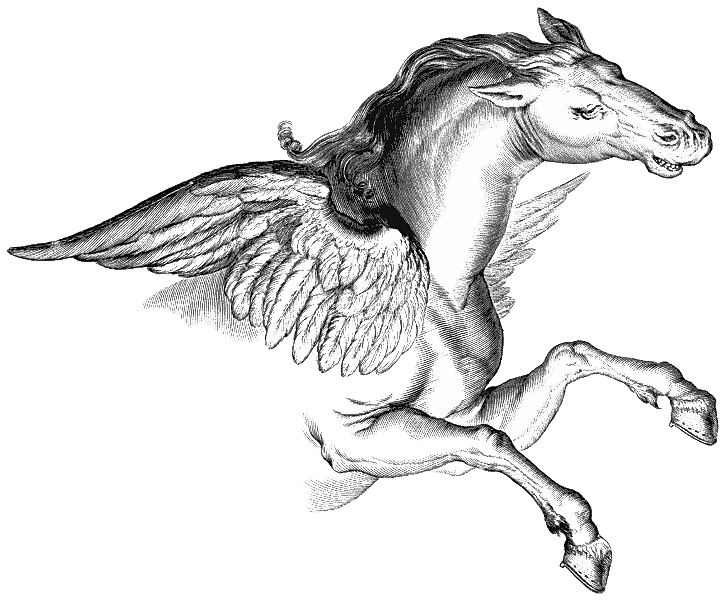 Pegasus Transparent PNG Image