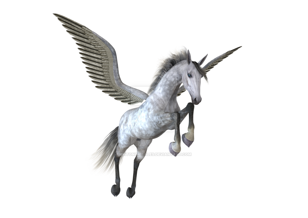 Pegasus Image PNG Image