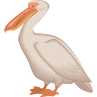 Pelican Transparent Transparent HQ PNG Download | FreePNGImg