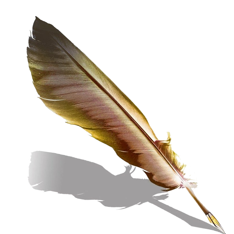 Pen Fountain Feather Quill HD Image Free PNG PNG Image