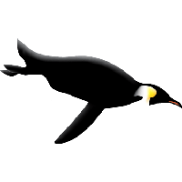 Penguin Png Image PNG Image