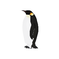 Penguin Png Image PNG Image