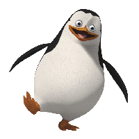 Penguin Png Image PNG Image